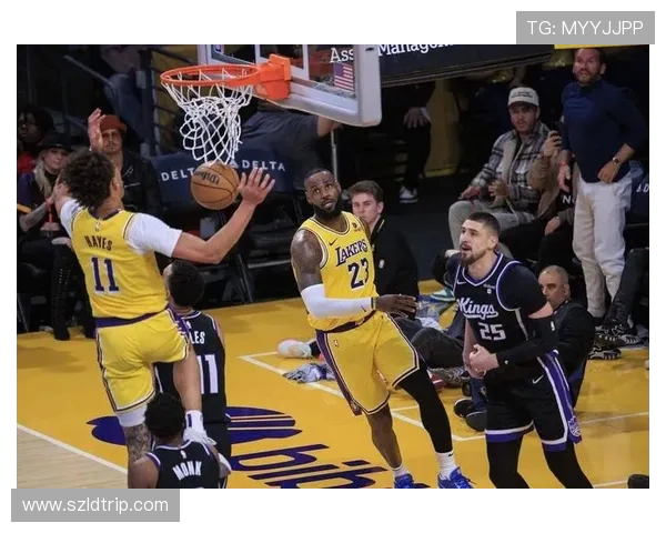 国王队与湖人激战正酣NBA季后赛精彩对决引发球迷热议