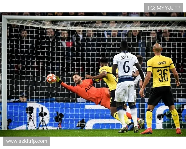 多特蒙德对阵热刺比赛结果分析及精彩瞬间回顾